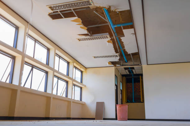  Unt Vernon, MO Water damage restoration Pros