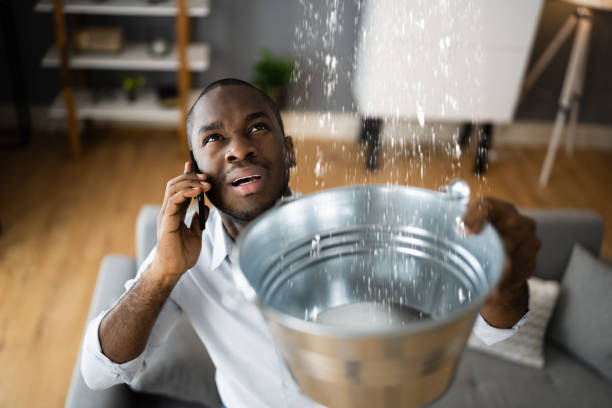 Best Water damage contractors near me  in Unt Vernon, MO