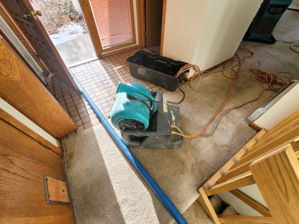 Best Emergency water damage restoration  in Unt Vernon, MO