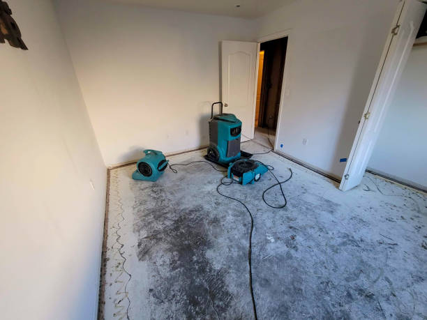 Best Basement water damage restoration  in Unt Vernon, MO