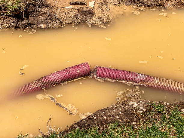 Best Water damage restoration near me  in Unt Vernon, MO