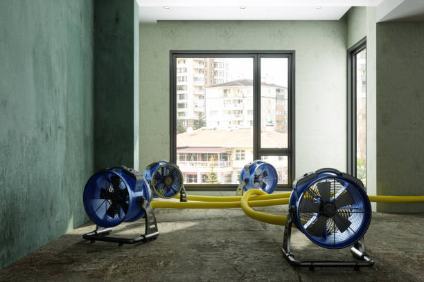 Best Sewage cleanup and water damage restoration  in Unt Vernon, MO