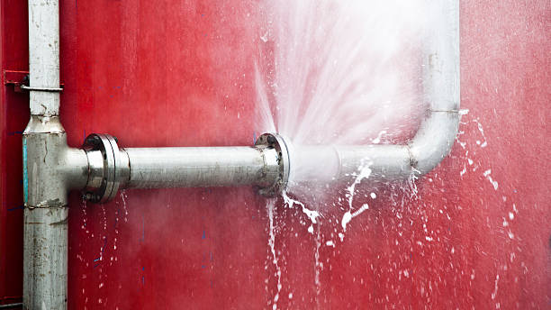 Best Flood restoration services  in Unt Vernon, MO
