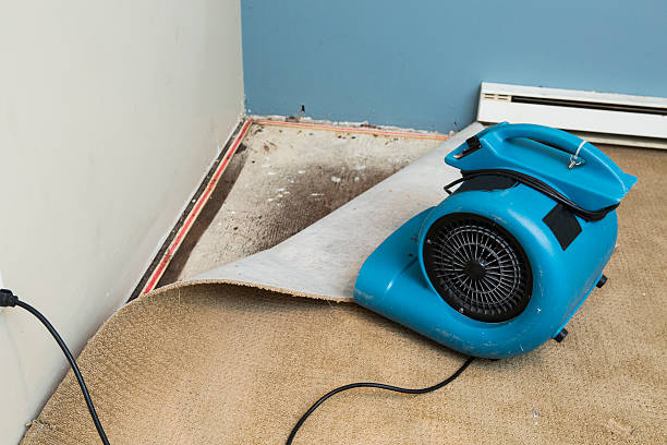 Best Water damage restoration near me  in Unt Vernon, MO